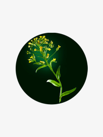 Маска для очень поврежденных волос Rene Furterer модель 215279 Фото