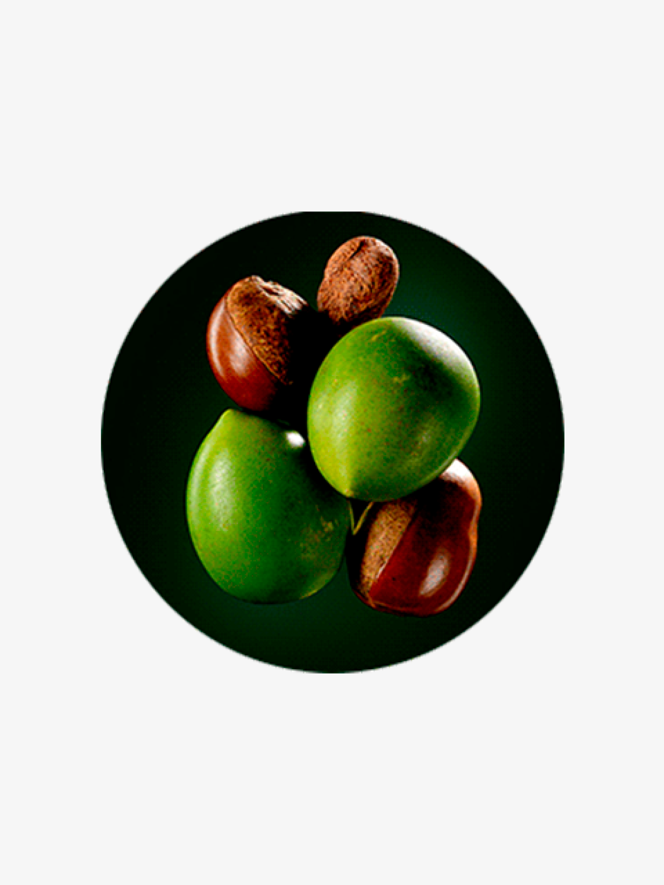 Маска для дуже пошкодженого волосся Rene Furterer модель 215279 Фото