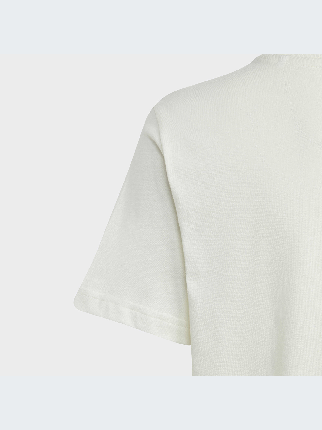 Футболка Adidas Graphics модель IM1825 Фото