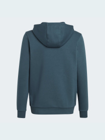 Худи Adidas Adicolor модель IJ9717 Фото