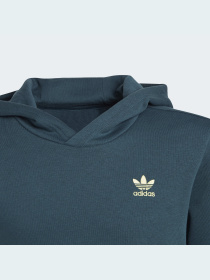 Худи Adidas Adicolor модель IJ9717 Фото