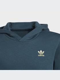 Худи Adidas Adicolor модель IJ9717 Фото