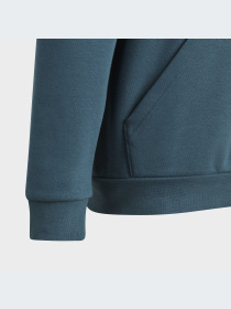 Худи Adidas Adicolor модель IJ9717 Фото