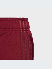 Повсякденні штани Adidas Graphics модель IJ0752 Фото