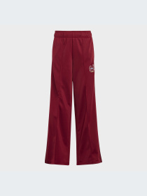 Повсякденні штани Adidas Graphics модель IJ0752 Фото