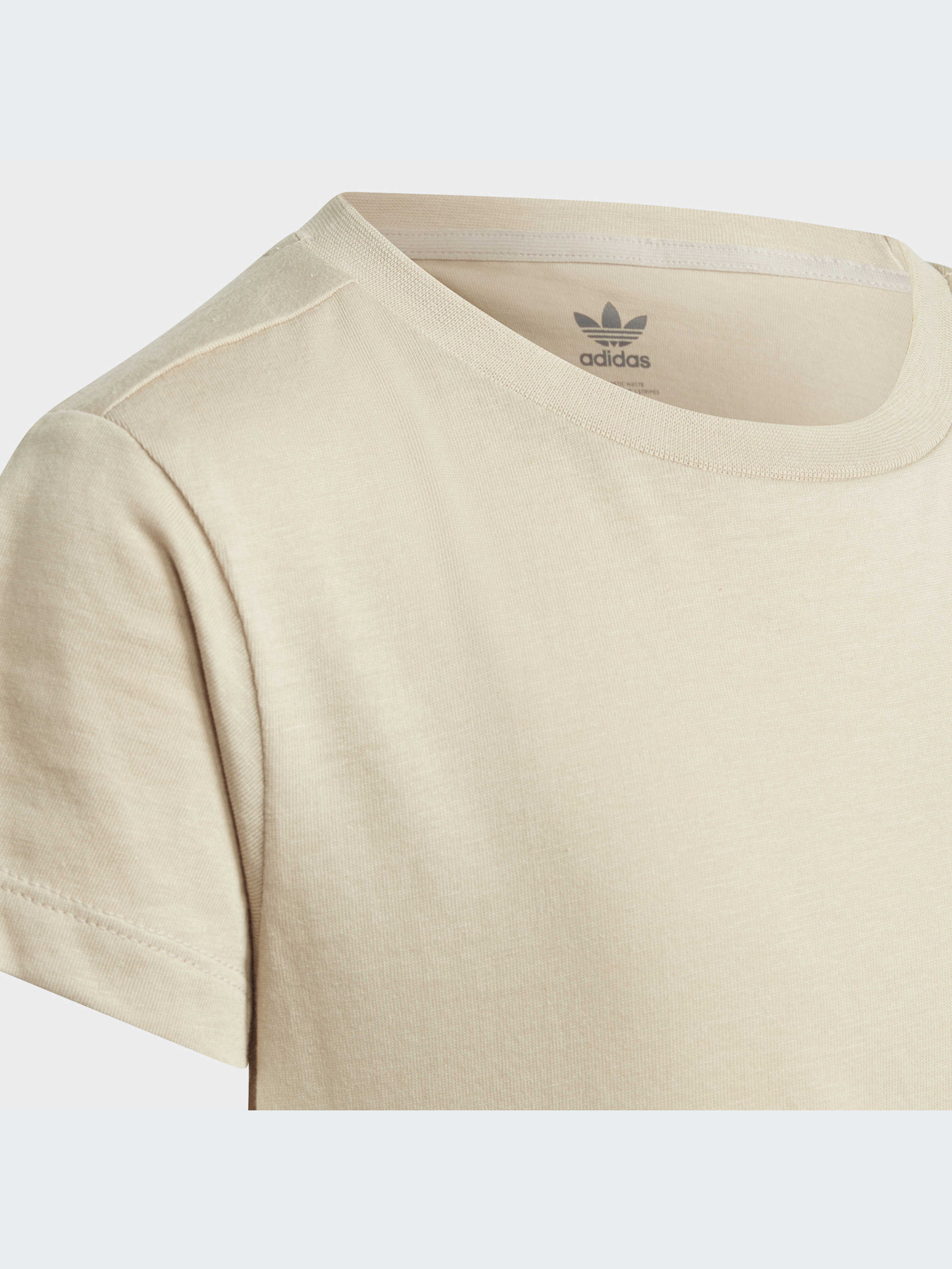 Футболка Adidas Adicolor модель IJ7210 Фото