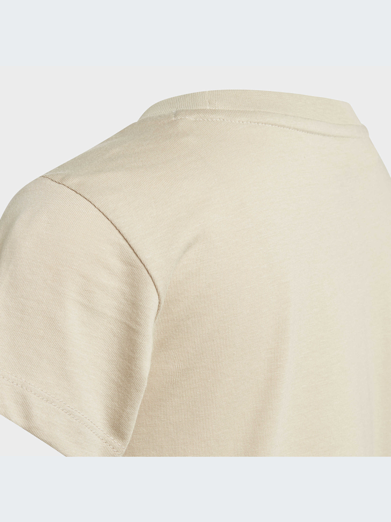 Футболка Adidas Adicolor модель IJ7210 Фото