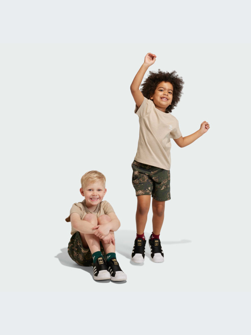 Футболка Adidas Adicolor модель IJ7210 Фото