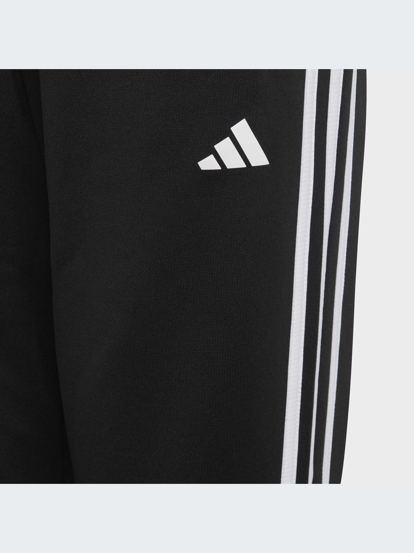 Штаны спортивные Adidas модель HY1098 Фото