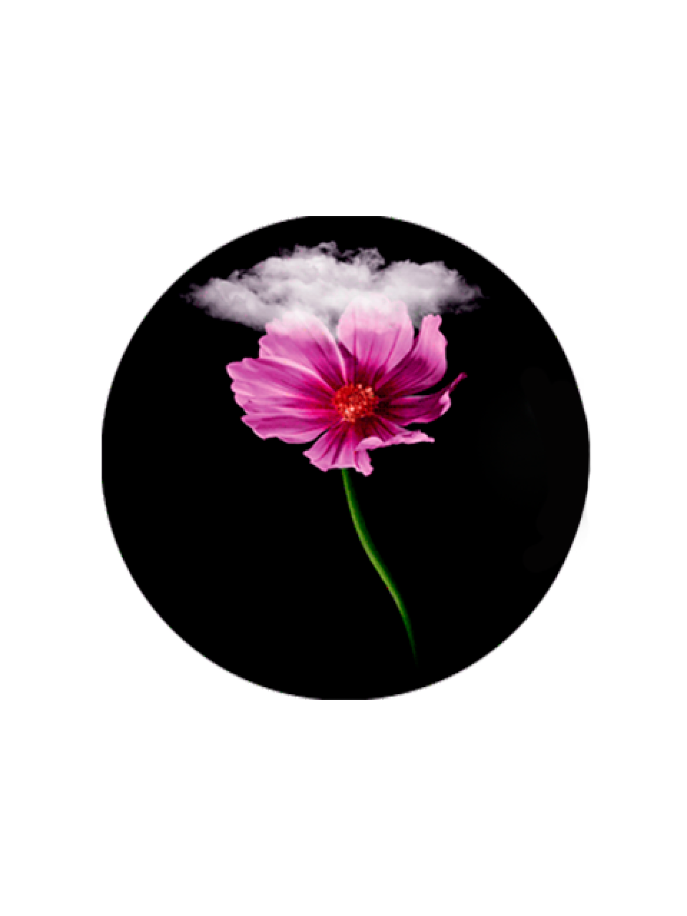 Защитный шампунь Rene Furterer модель 231480 Фото