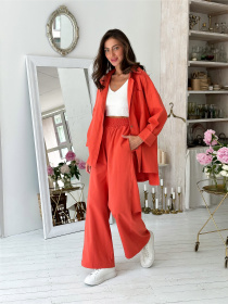 Повседневные штаны Прованс модель 30355 Фото