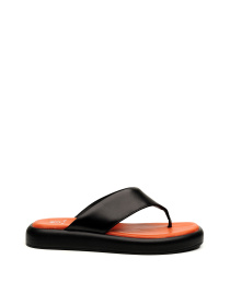 Вьетнамки Alex Bell модель 1170012 Фото