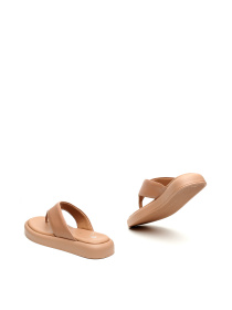 В'єтнамки Alex Bell модель 1169975 Фото