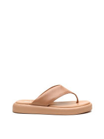 В'єтнамки Alex Bell модель 1169975 Фото