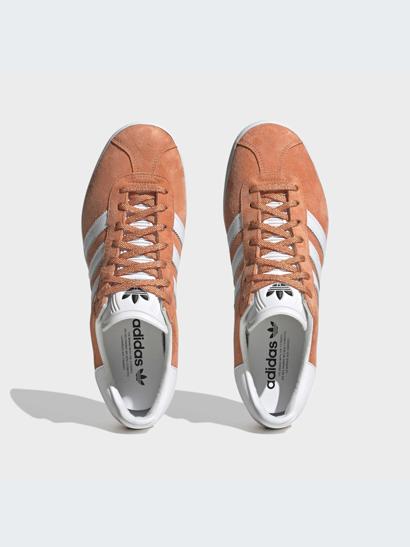 Кеди низькі Adidas Gazelle модель GY2531 Фото