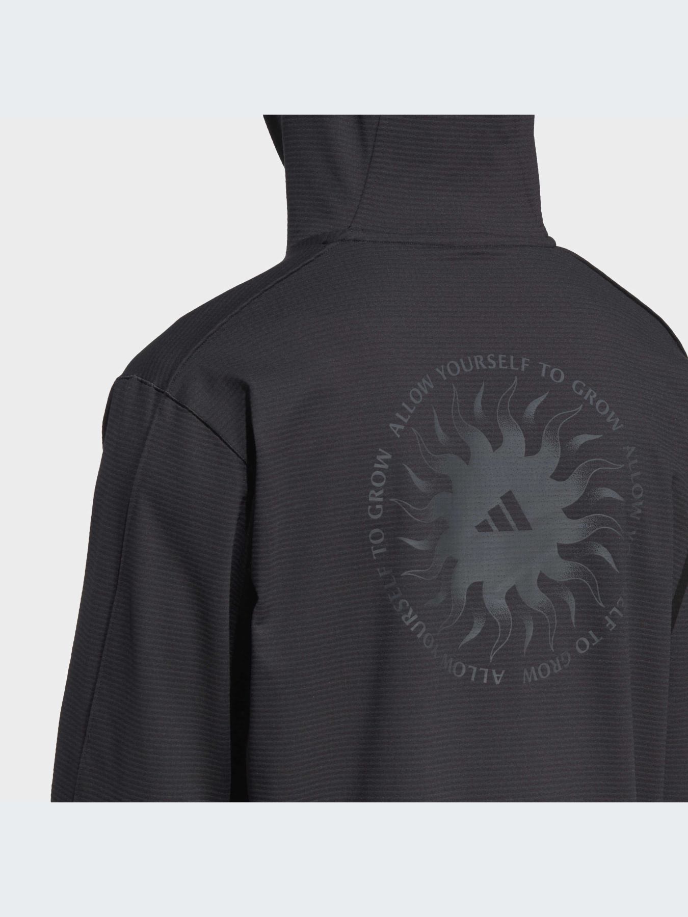 Кофта спортивная Adidas Graphics модель IB8968 Фото