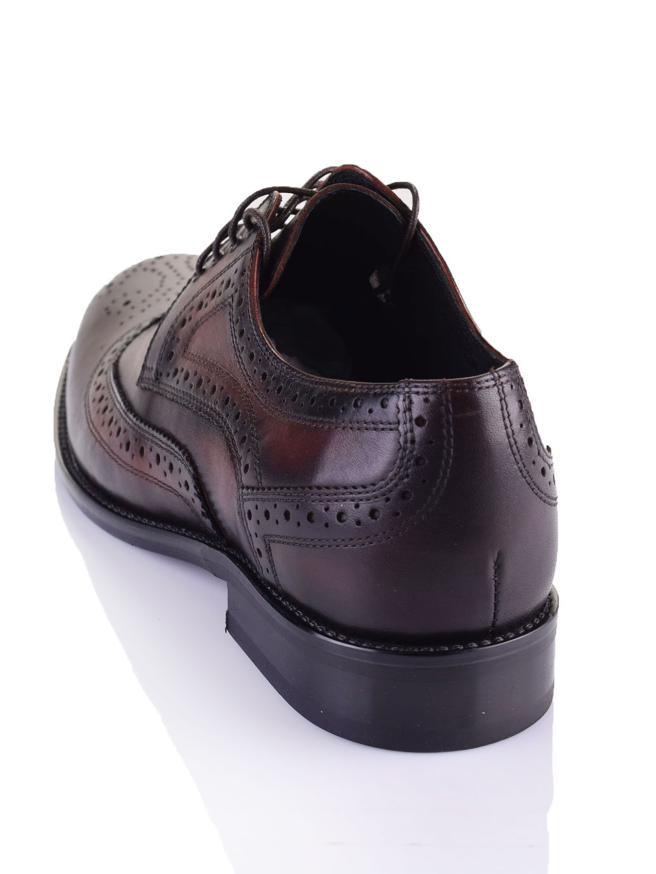 Броги Marco Piero модель 4483P-04 Фото