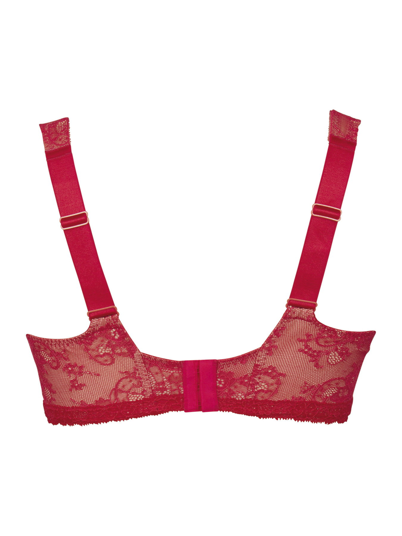 Бюстгальтер Anita модель 5216Abby_Cherry Бюстгальтер Anita модель 5216Abby_Cherry Фото