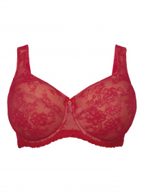 Бюстгальтер Anita модель 5216Abby_Cherry Бюстгальтер Anita модель 5216Abby_Cherry Фото