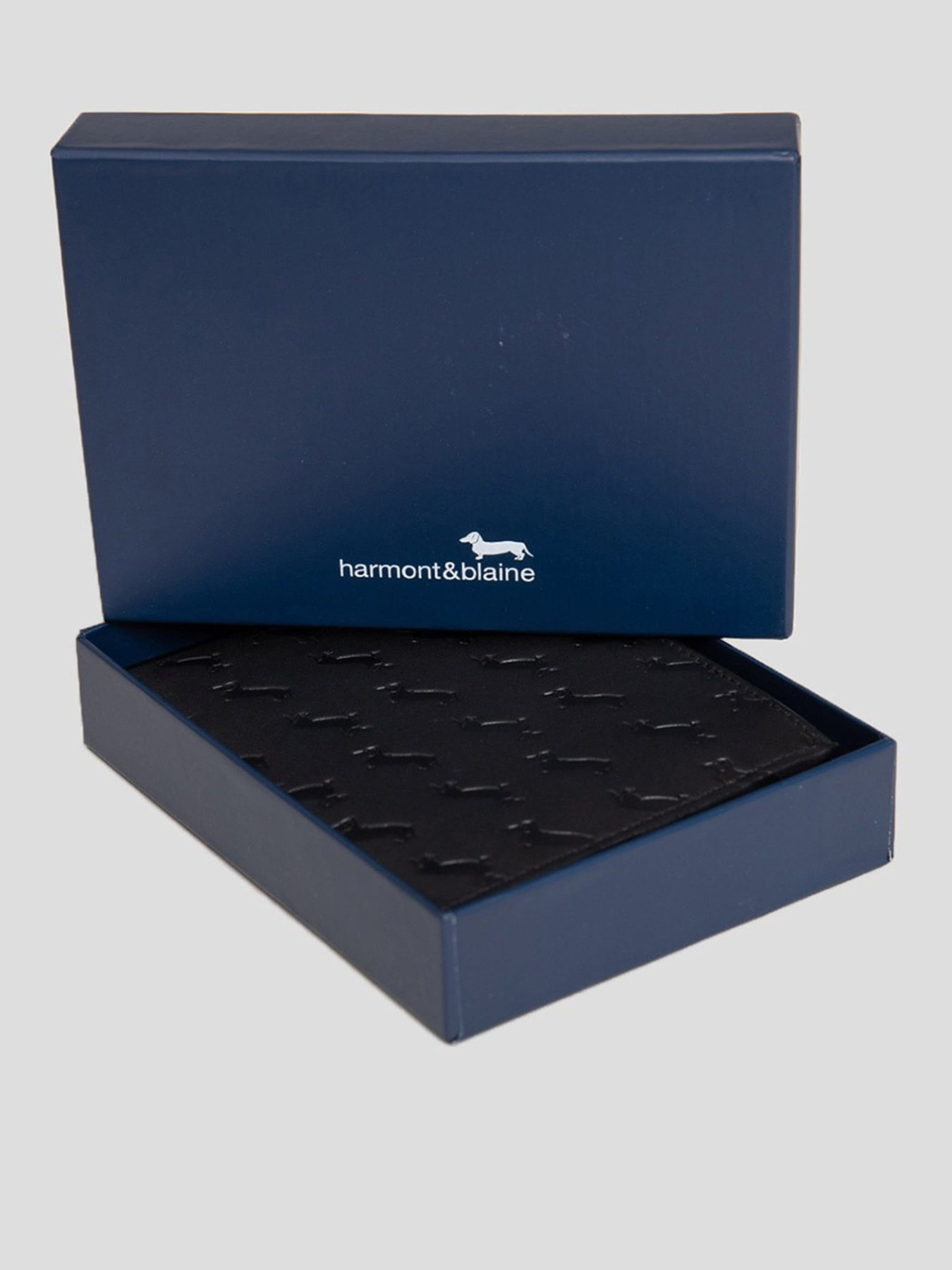 Гаманець Harmont&Blaine модель H2DPMH123003999 Фото