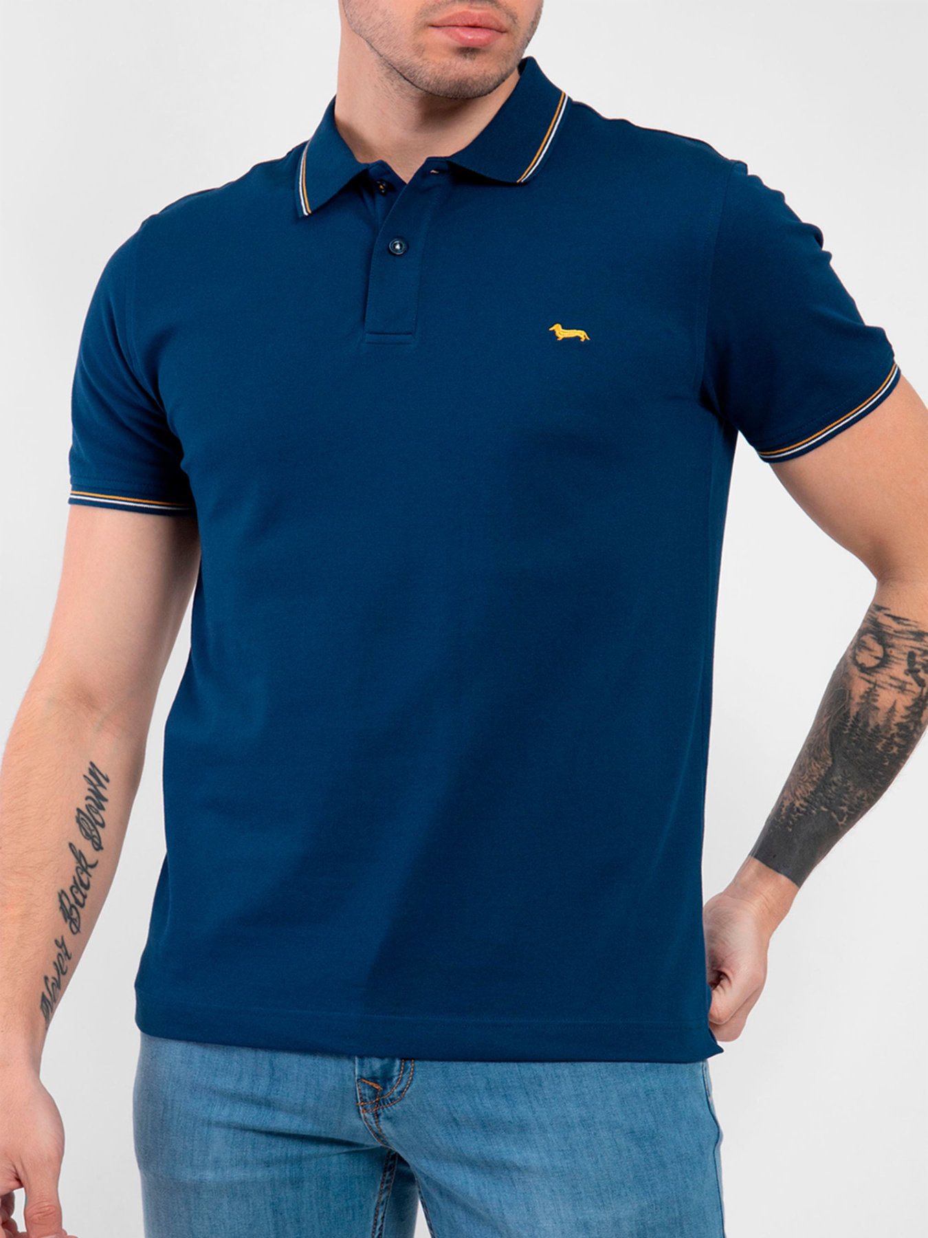 Поло Harmont&Blaine модель LNJ032020862_808 Фото