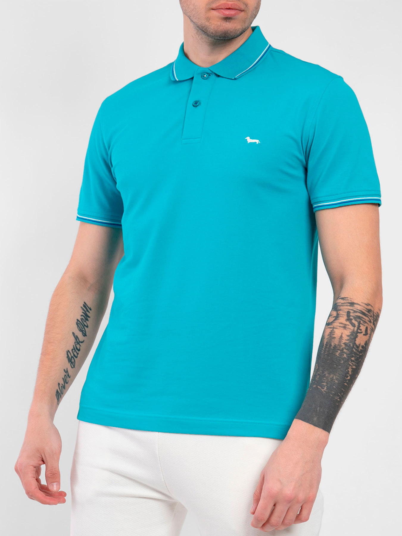 Поло Harmont&Blaine модель LNJ032020862_633 Поло Harmont&Blaine модель LNJ032020862_633 Фото