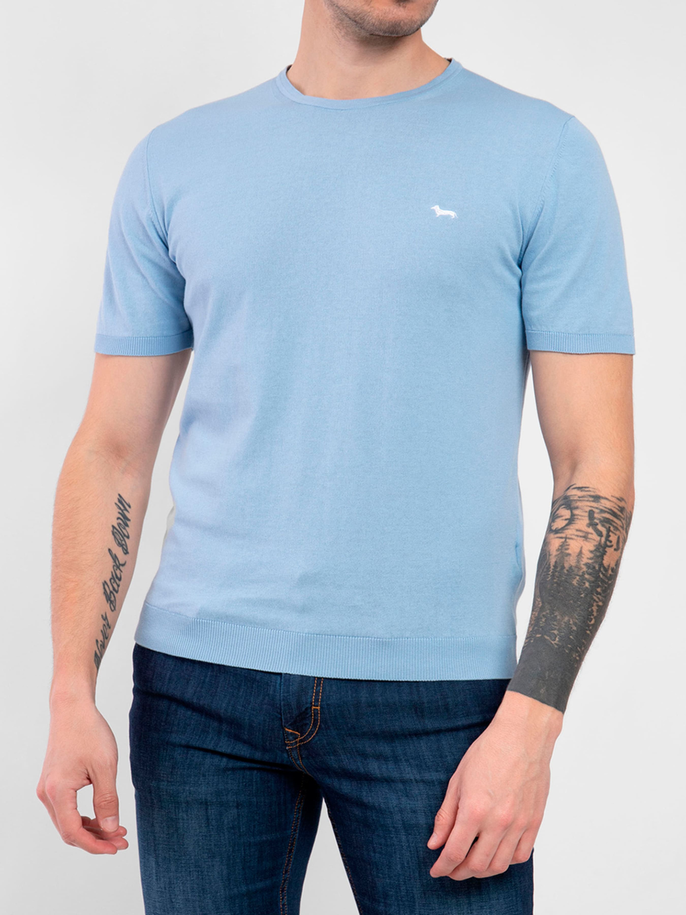 Футболка Harmont&Blaine модель HRJ239030728_811 Фото