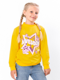 Свитшот Носи своє модель 6069-057-33-5-grchicq-zrka Свитшот Носи своє модель 6069-057-33-5-grchicq-zrka Фото