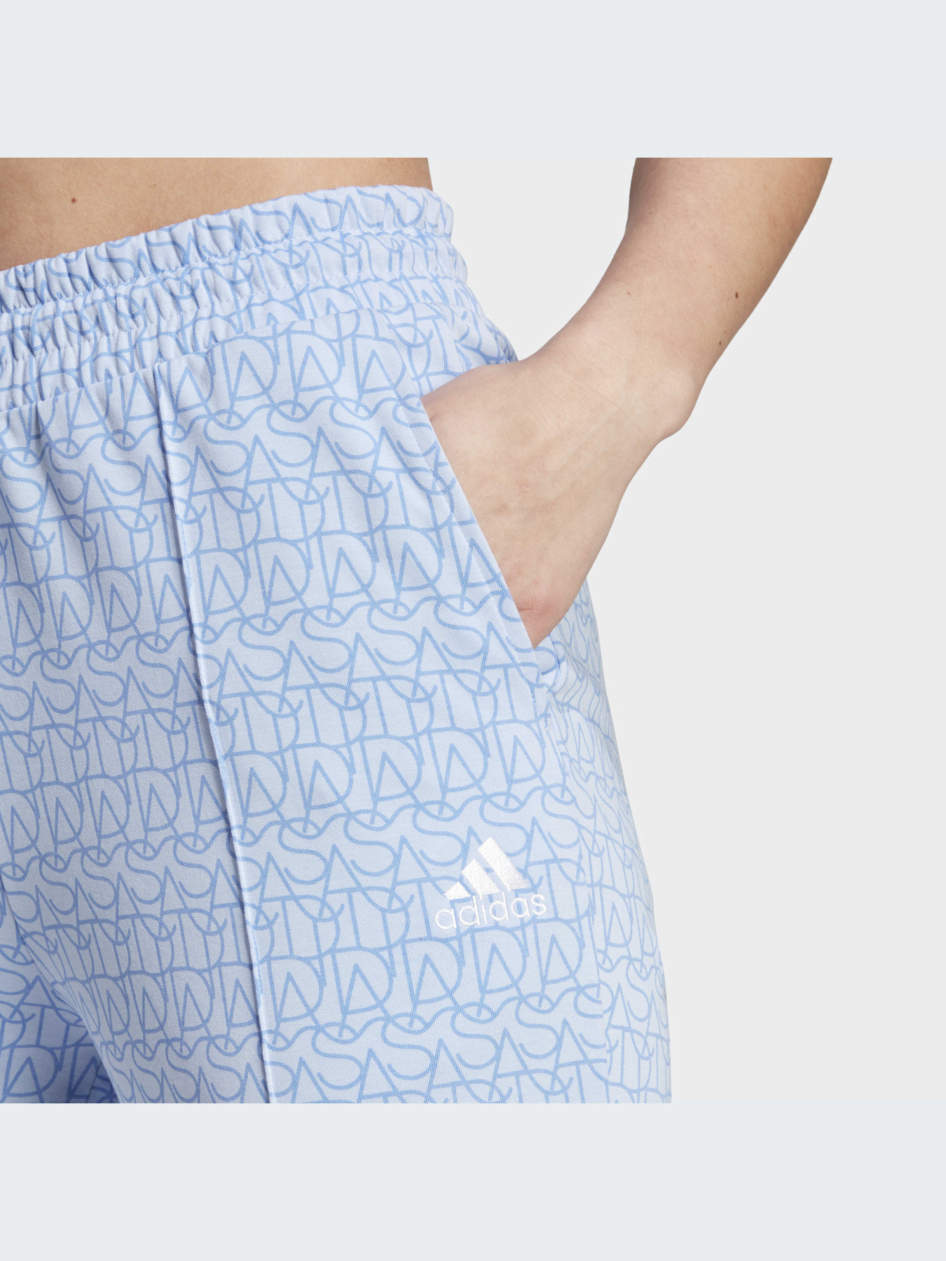 Повседневные штаны Adidas Graphics модель IC5721 Фото