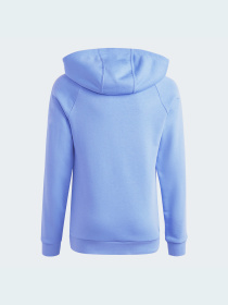 Худі Adidas модель IC5667 Фото