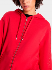Худи и свитшоты Armani Exchange модель 6RYM71-YJBRZ-14BB Фото