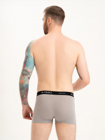 Труси ISSA Plus модель GN5-210_grey Труси ISSA Plus модель GN5-210_grey Фото