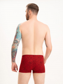 Трусы ISSA Plus модель GN5-213_red Фото