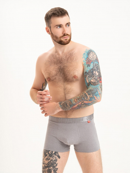 Трусы ISSA Plus модель GN5-214_grey Фото