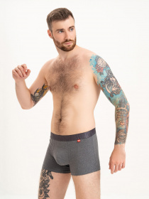 Трусы ISSA Plus модель GN5-214_darkgray Фото