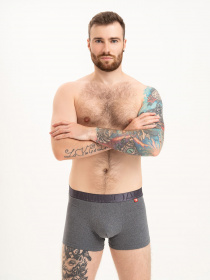 Труси ISSA Plus модель GN5-214_darkgray Фото