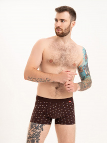 Трусы ISSA Plus модель GN5-215_brown Трусы ISSA Plus модель GN5-215_brown Фото