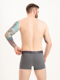 Труси ISSA Plus модель GN5-215_darkgray Фото