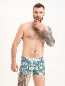 Трусы ISSA Plus модель GN5-218_green Фото