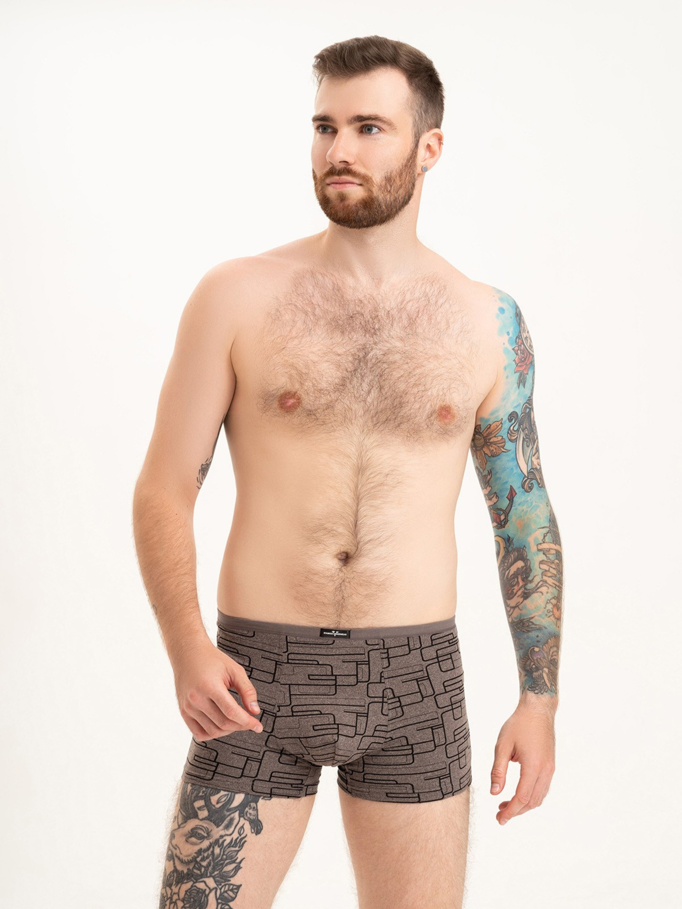 Трусы ISSA Plus модель GN5-220_brown Трусы ISSA Plus модель GN5-220_brown Фото