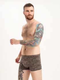 Трусы ISSA Plus модель GN5-220_brown Трусы ISSA Plus модель GN5-220_brown Фото