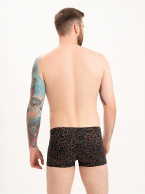 Труси ISSA Plus модель GN5-221_brown Фото