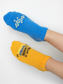 Шкарпетки Gepur модель 44821 Фото