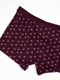 Труси ISSA Plus модель GN5-215_burgundy Фото