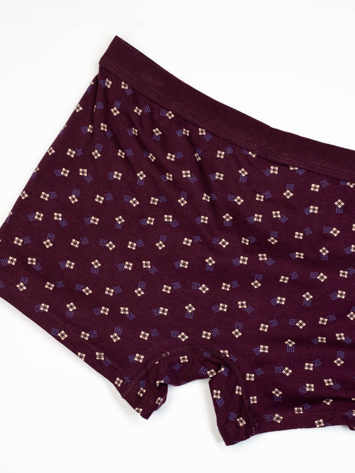 Трусы ISSA Plus модель GN5-215_burgundy Фото