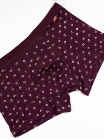 Трусы ISSA Plus модель GN5-215_burgundy Фото