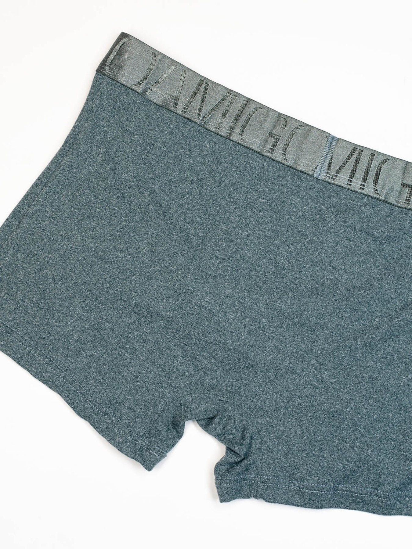 Трусы ISSA Plus модель GN5-214_green Фото