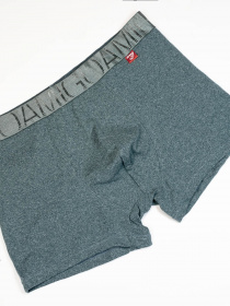 Трусы ISSA Plus модель GN5-214_green Фото