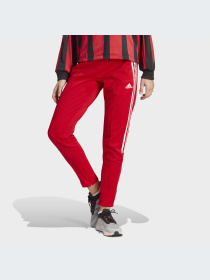 Повседневные штаны Adidas модель IC6679 Повседневные штаны Adidas модель IC6679 Фото