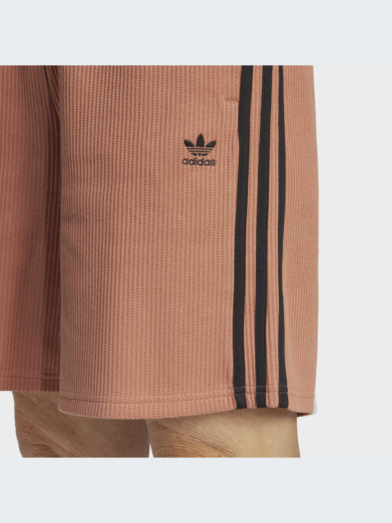 Шорты Adidas Adicolor модель IC5451 Фото